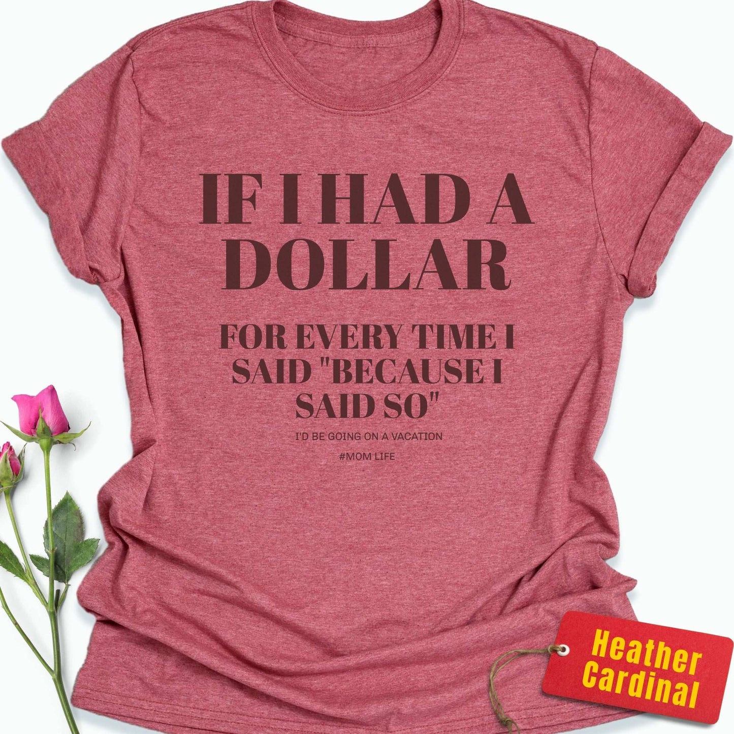 If I Had a Dollar For Every Time T-Shirt