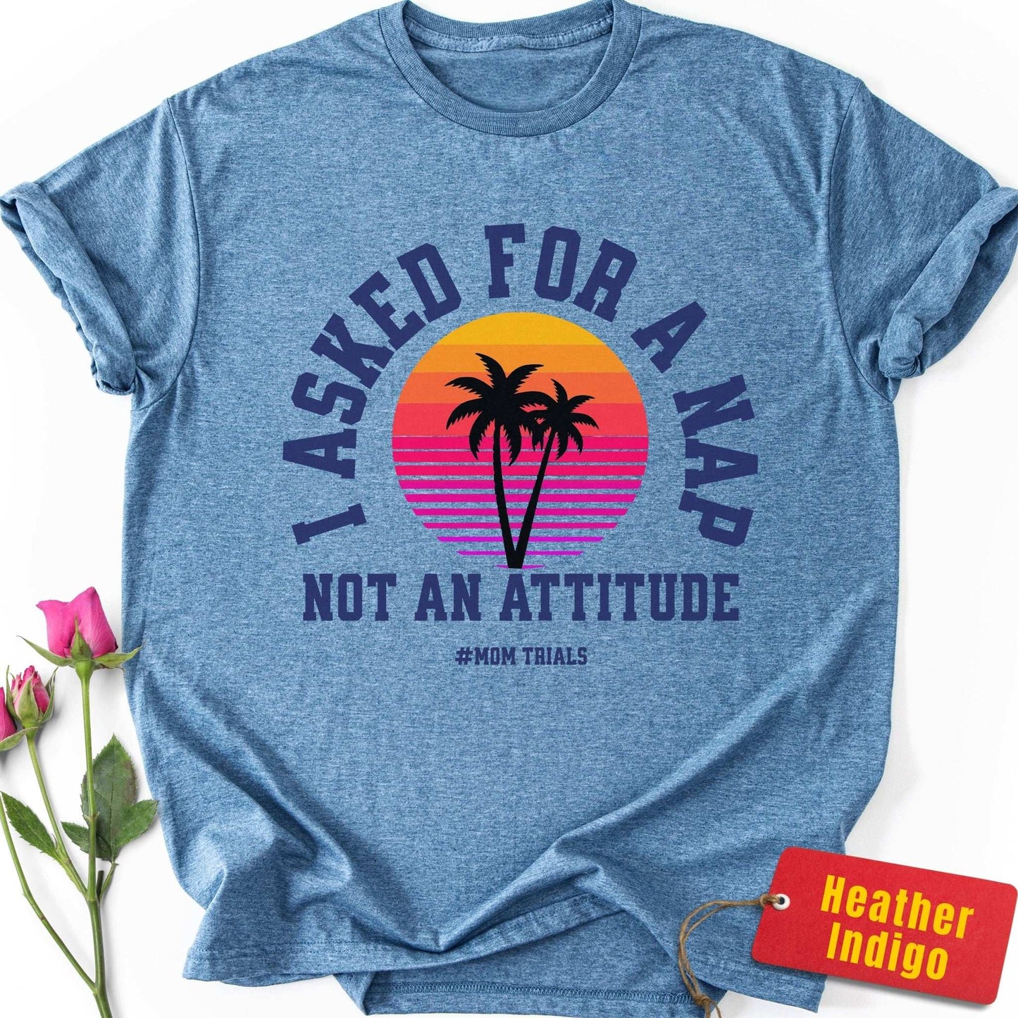 I Asked for a Nap, Not an Attitude T-Shirt