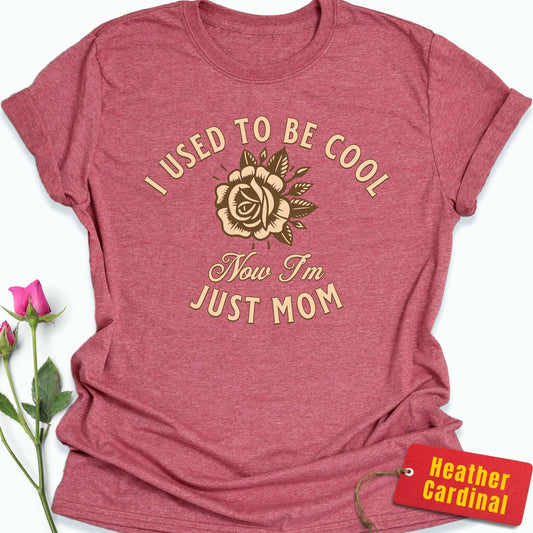 I Used to Be Cool T-Shirt