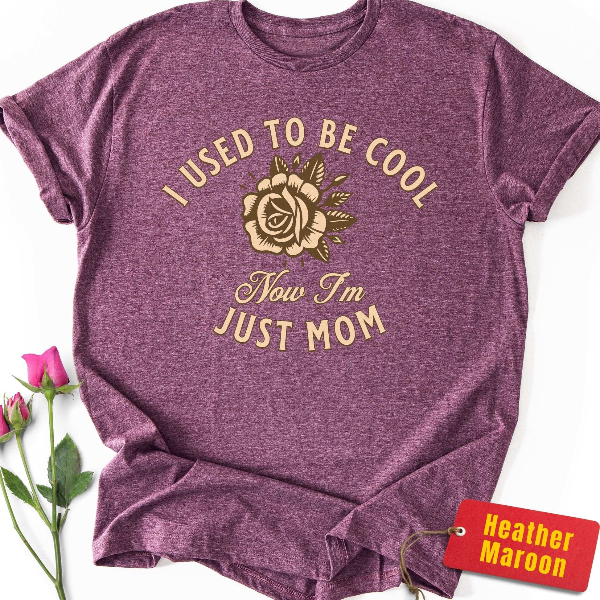 I Used to Be Cool T-Shirt