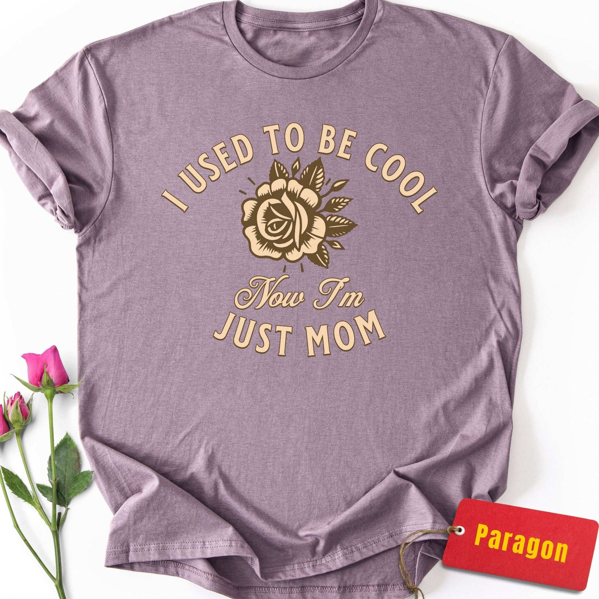 I Used to Be Cool T-Shirt